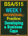 BSA/515 Week 1 Practice Developing a Business Case